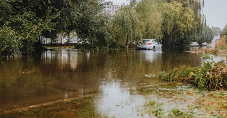 découvrez comment prévenir et gérer les inondations de sous-sol pour protéger votre maison des dégâts d'eau.