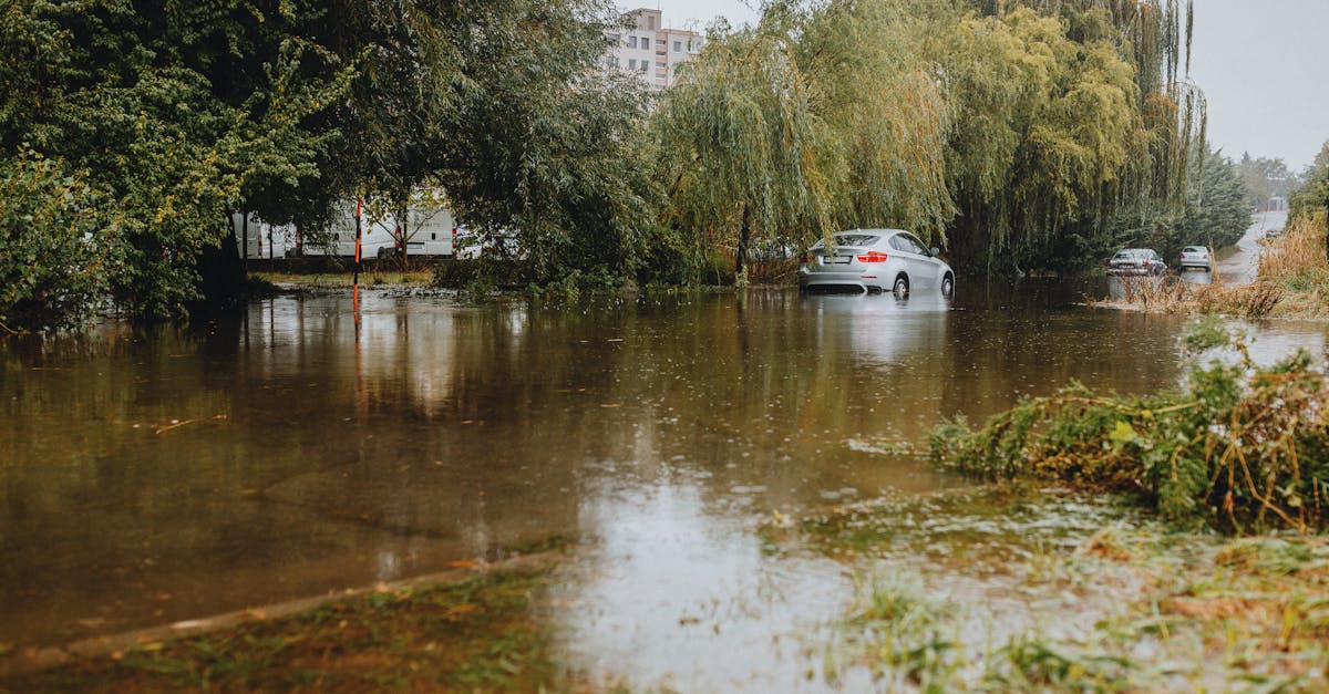 découvrez comment prévenir et gérer les inondations de sous-sol pour protéger votre maison des dégâts d'eau.