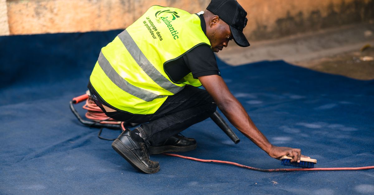 service professionnel de nettoyage de tapis pour un intérieur propre et sain. éliminez les taches, la poussière et les allergènes efficacement.