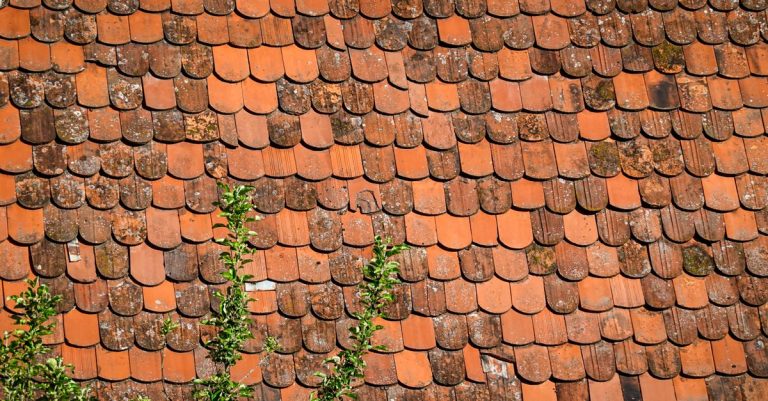 découvrez les meilleures méthodes pour nettoyer vos carreaux en terre cuite efficacement et préserver leur beauté naturelle.