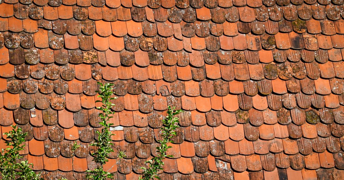 découvrez les meilleures méthodes pour nettoyer vos carreaux en terre cuite efficacement et préserver leur beauté naturelle.