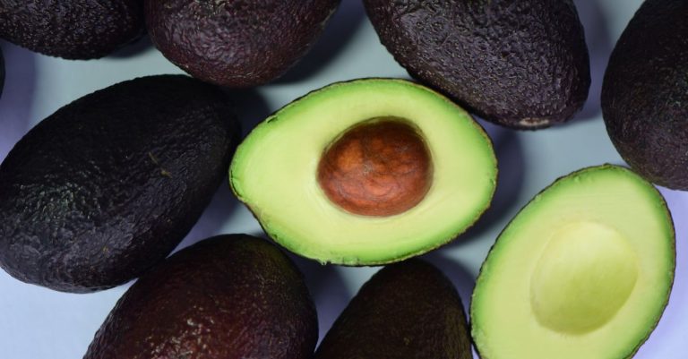 découvrez tout sur l'avocat : ses bienfaits pour la santé, ses recettes délicieuses et ses astuces de conservation.