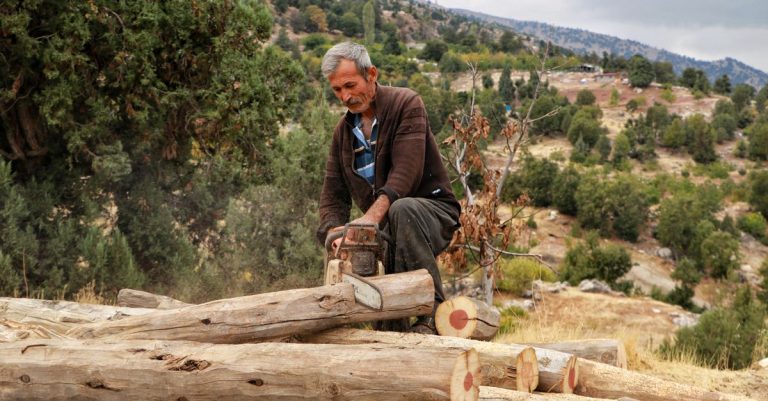 découvrez notre sélection de tronçonneuses performantes et adaptées à tous vos besoins, pour un travail précis et efficace.