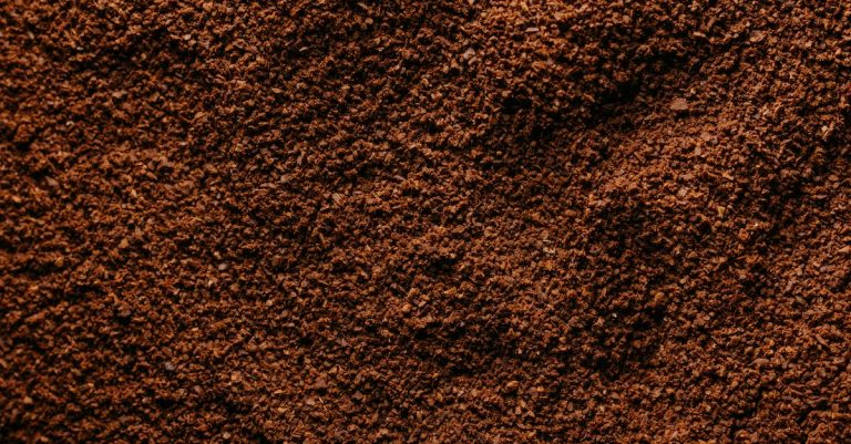 découvrez comment utiliser le marc de café au jardin pour enrichir le sol, repousser les parasites et favoriser la croissance des plantes de manière naturelle et écologique.