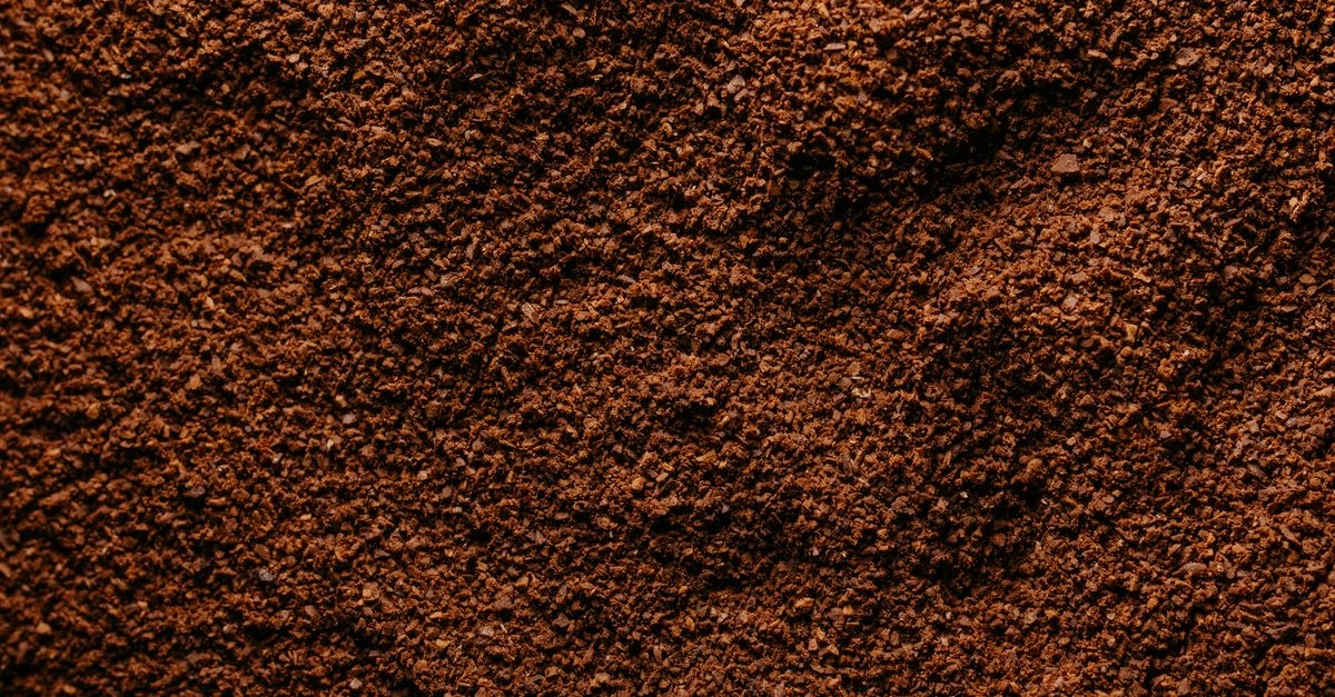 découvrez comment utiliser le marc de café au jardin pour enrichir le sol, repousser les parasites et favoriser la croissance des plantes de manière naturelle et écologique.