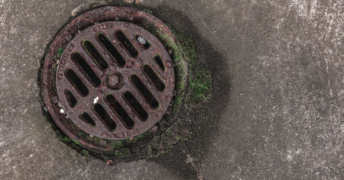 3 méthodes efficaces pour déboucher un drain de baignoire facilement 2 service professionnel de nettoyage de drains pour éliminer les obstructions et assurer un écoulement optimal. intervention rapide et efficace pour tous types de drains.
