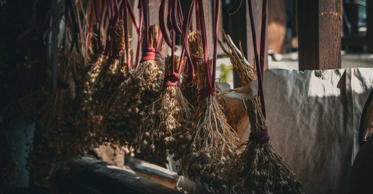 découvrez les meilleures méthodes pour conserver vos herbes séchées et préserver leur saveur et leurs bienfaits plus longtemps.