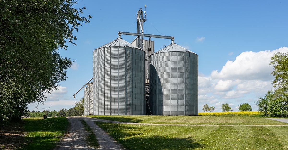 découvrez l'emplacement idéal pour votre bâtiment agricole afin d'optimiser fonctionnement et accessibilité sur votre ferme.