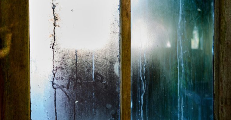 contrôle de l'humidité : solutions efficaces pour maintenir un taux d'humidité optimal et protéger votre environnement.