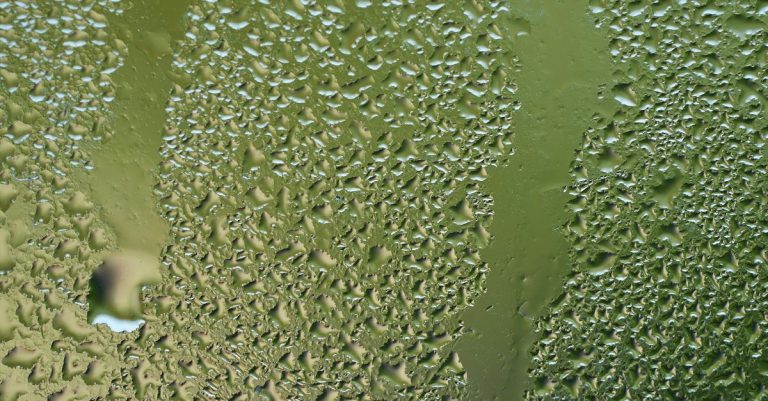 gestion de l'humidité : solutions et conseils pour contrôler l'humidité dans votre maison et garantir un environnement sain et confortable.