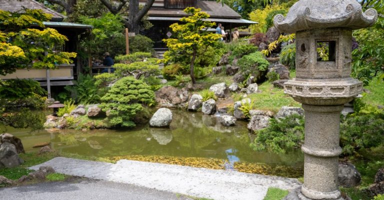 découvrez la sérénité et la beauté intemporelle d'un jardin japonais, un havre de paix où la nature et l'harmonie se rencontrent.