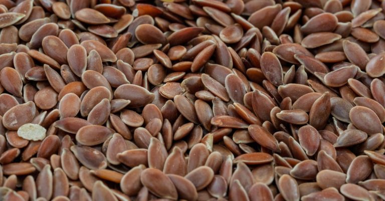 découvrez les bienfaits de l'huile de lin, un produit naturel riche en oméga-3, idéal pour la santé, la cuisine et l'entretien du bois.