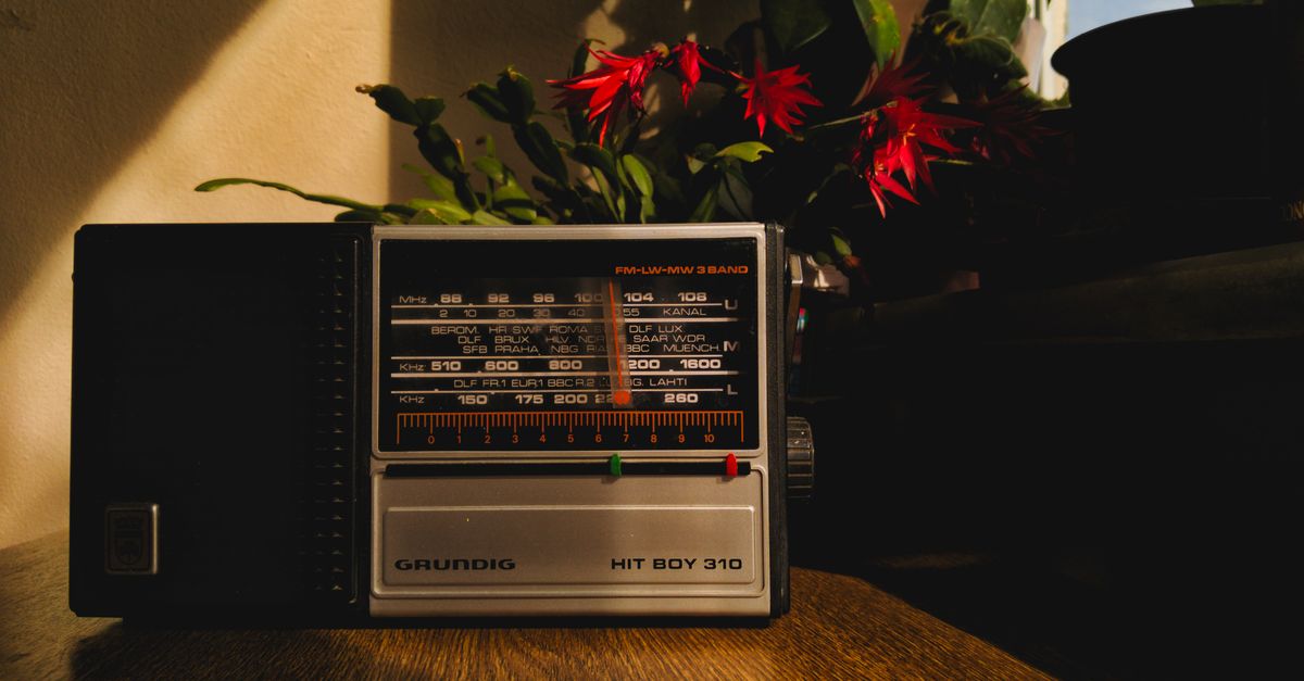 L'interdiction du bruit le dimanche : Comprendre la loi et ses implications 2 découvrez noisebansunday, votre référence pour des moments de détente musicale uniques et des ambiances sonores apaisantes chaque dimanche.