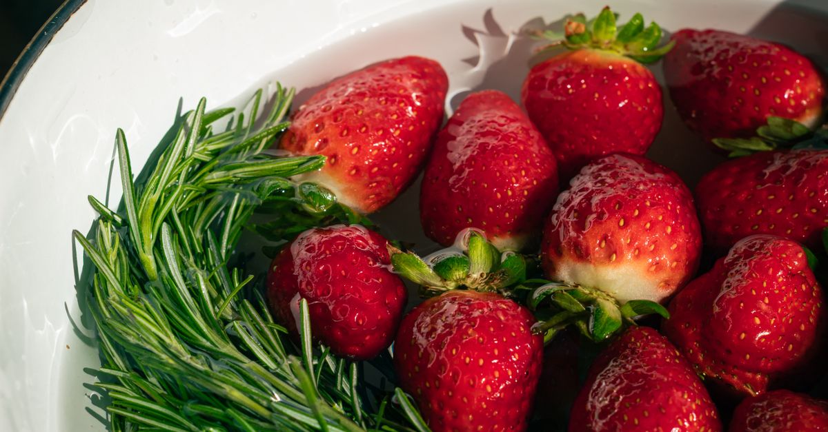 guide complet pour la récolte du romarin : conseils pratiques, meilleures périodes et techniques pour conserver toute la saveur de cette herbe aromatique.