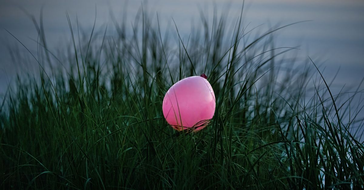 découvrez tout sur la herbe de mer (seagrass) : un écosystème marin essentiel, ses bienfaits pour l'environnement et sa biodiversité unique.