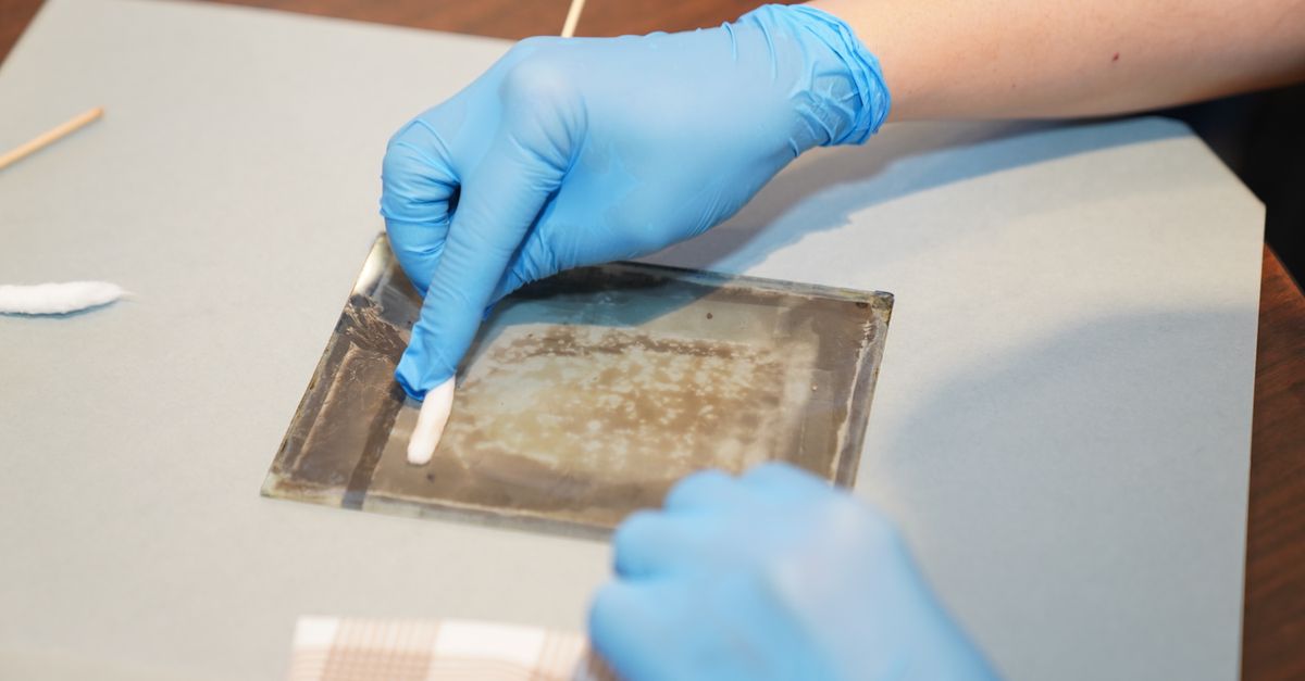 découvrez nos techniques efficaces et douces pour l'élimination de la cire, garantissant une peau nette et lisse en toute sécurité.